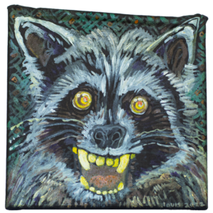 Raccoon